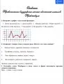 «Минутки» по русскому языку