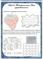 Практикум по русскому языку