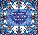 Практикум по русскому языку