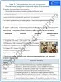 Филологический сундучок. Всё в 1